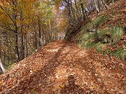 Ai faggi secolari del Menna dal Passo dell’orso ad anello da Zorzone – 27ott25   -  FOTOGALLERY